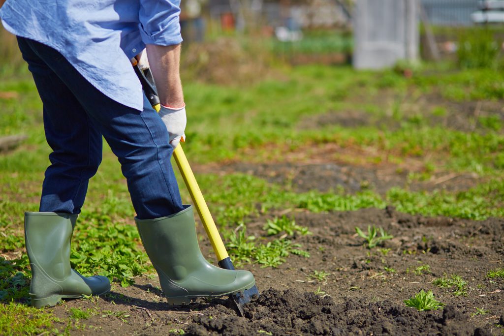 people doing yard work