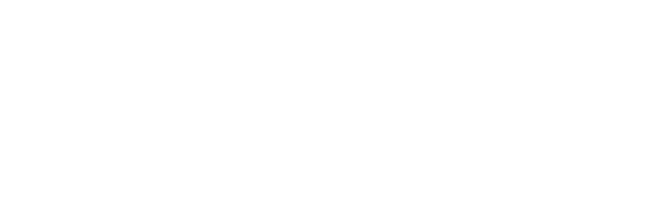 Spine Institute of North America